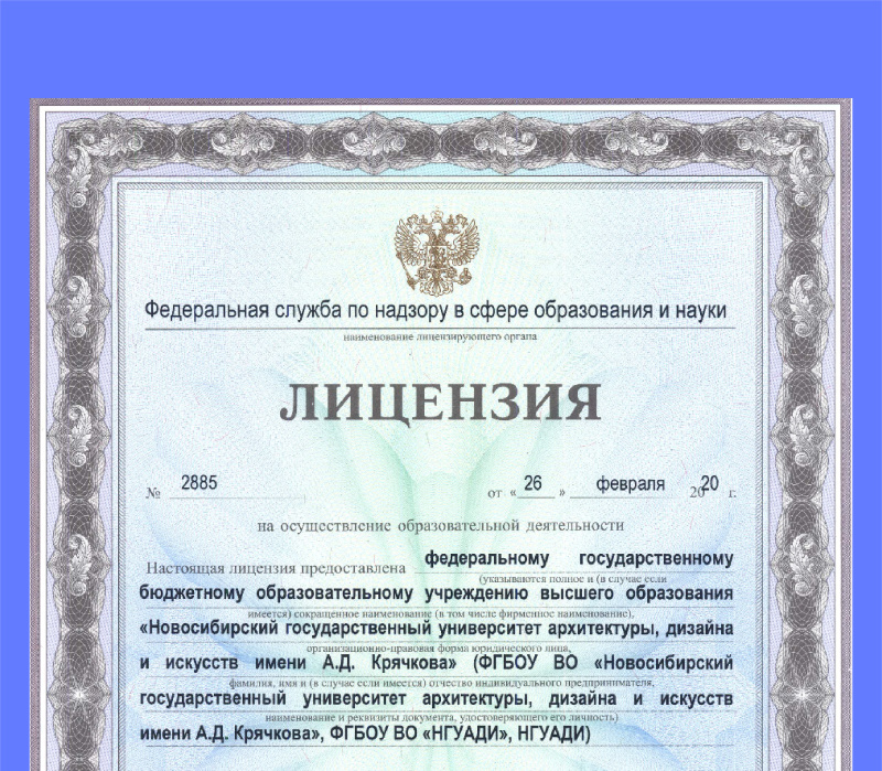 Государственная лицензия