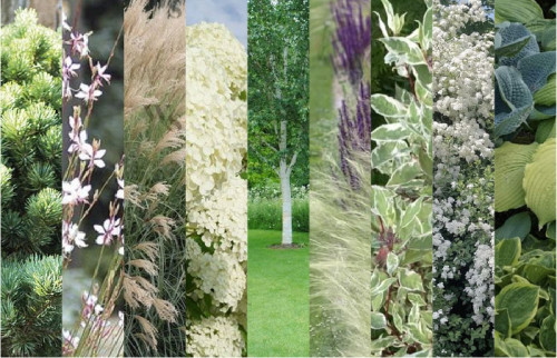 Дизайн загородного участка 2